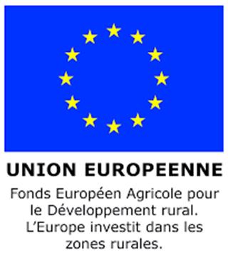 Europe.jpg