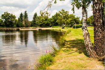 etang.jpg